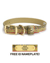 Sporting Dog Collar - Brook Trout