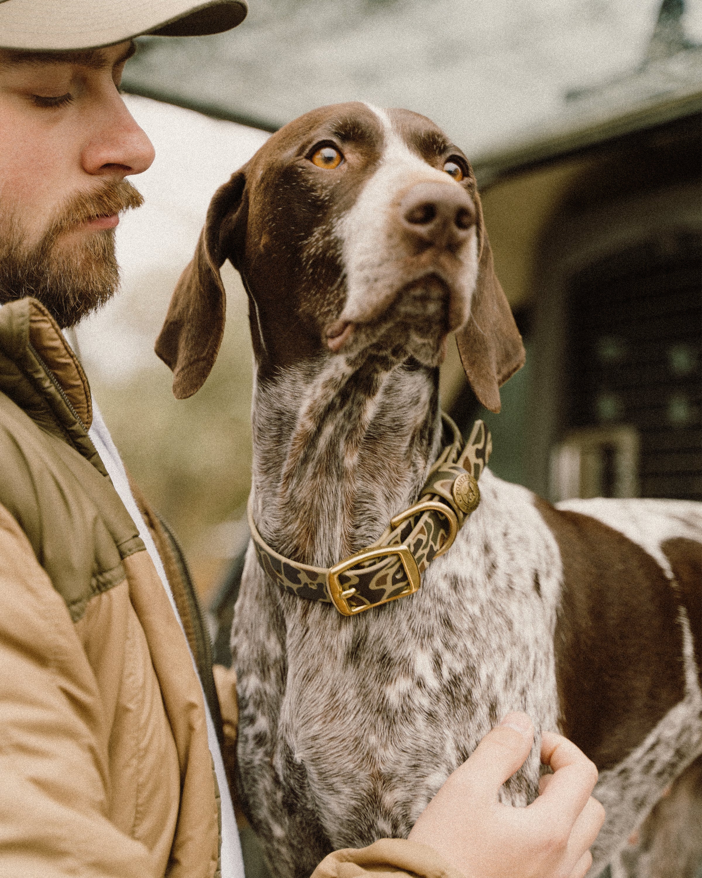 Sporting Dog Collar - Wingshooter Vintage Camo
