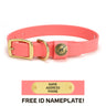 Sporting Dog Collar - Coral