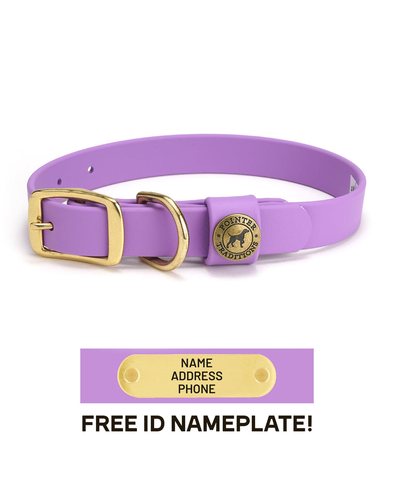 Sporting Dog Collar - Lavender - HT Animal Supply