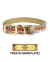 Sporting Dog Collar - Rainbow Trout