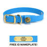 Sporting Dog Collar - Sky Blue