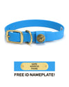Sporting Dog Collar - Sky Blue