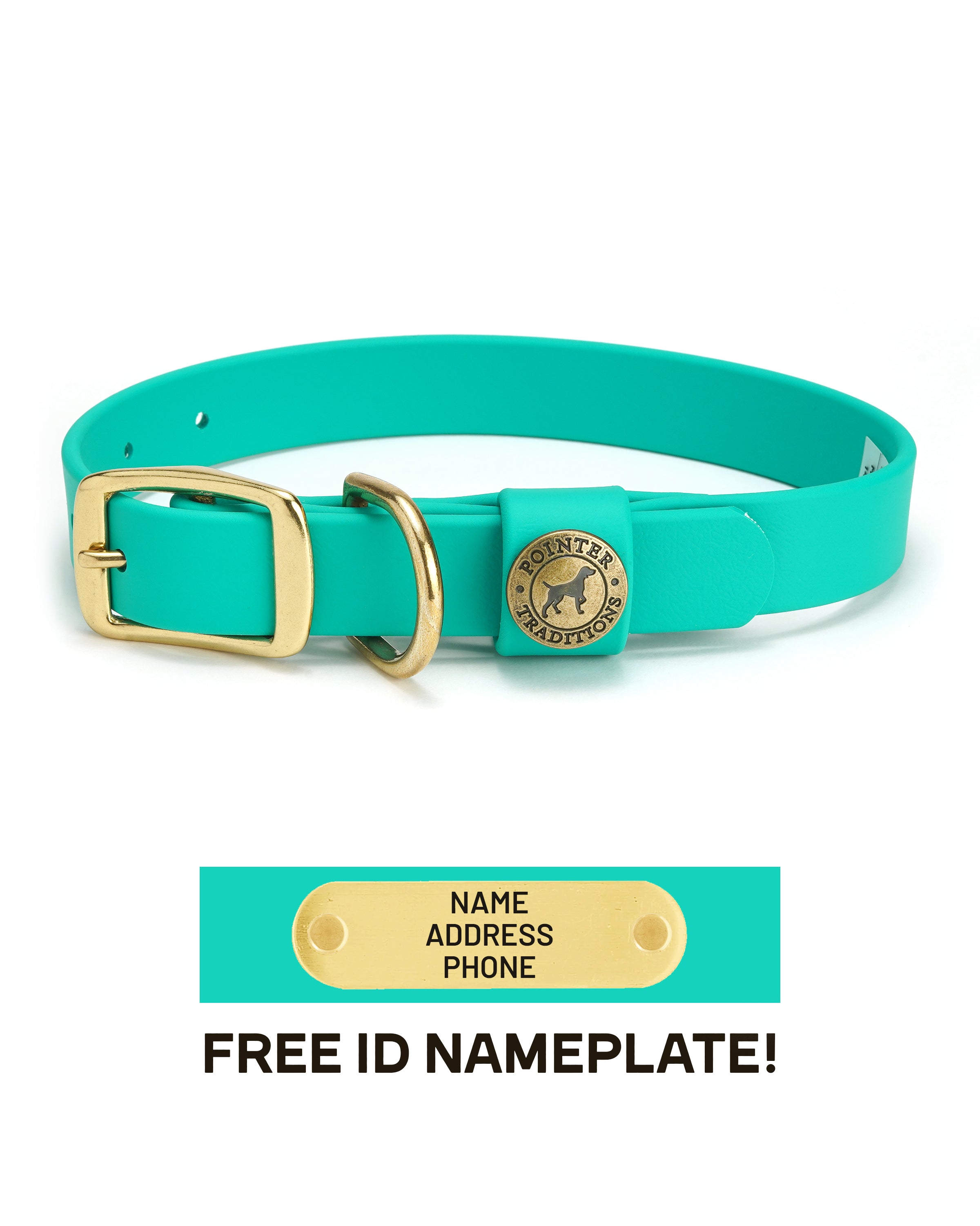 Sporting Dog Collar - Teal