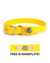 Sporting Dog Collar - Sunglow Yellow