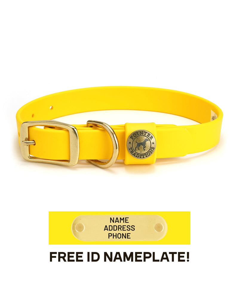 Sporting Dog Collar - Sunglow Yellow - HT Animal Supply