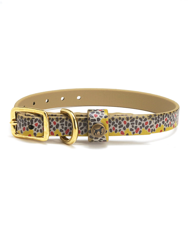 Sporting Puppy Collar - Brown Trout