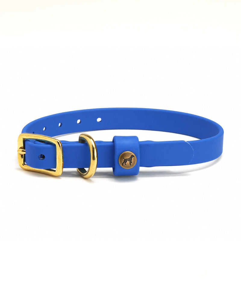 Sporting Puppy Collar - River Blue