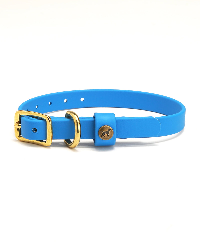 Sporting Puppy Collar - Sky Blue