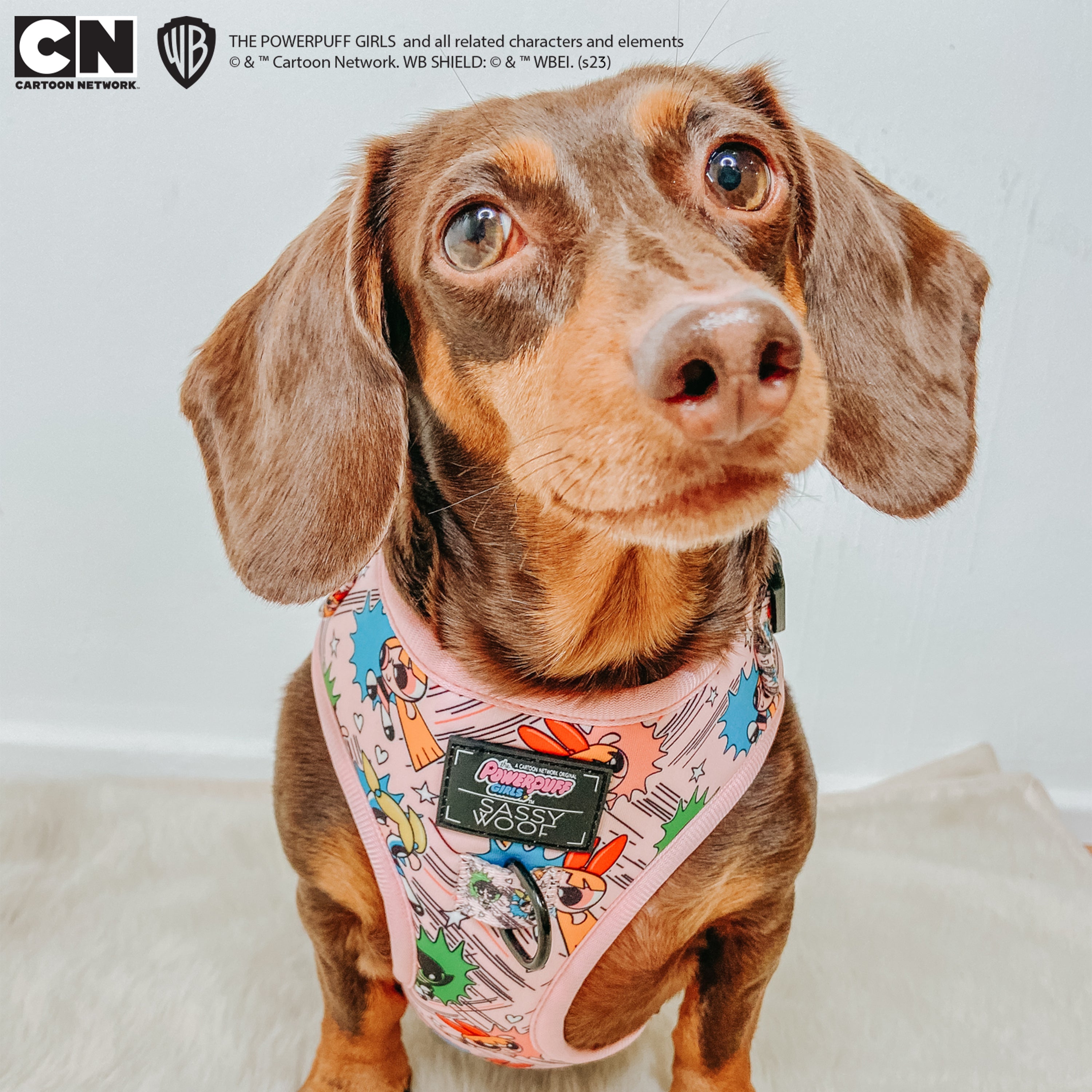 Dog Adjustable Harness - The Powerpuff Girls™ (Pink)