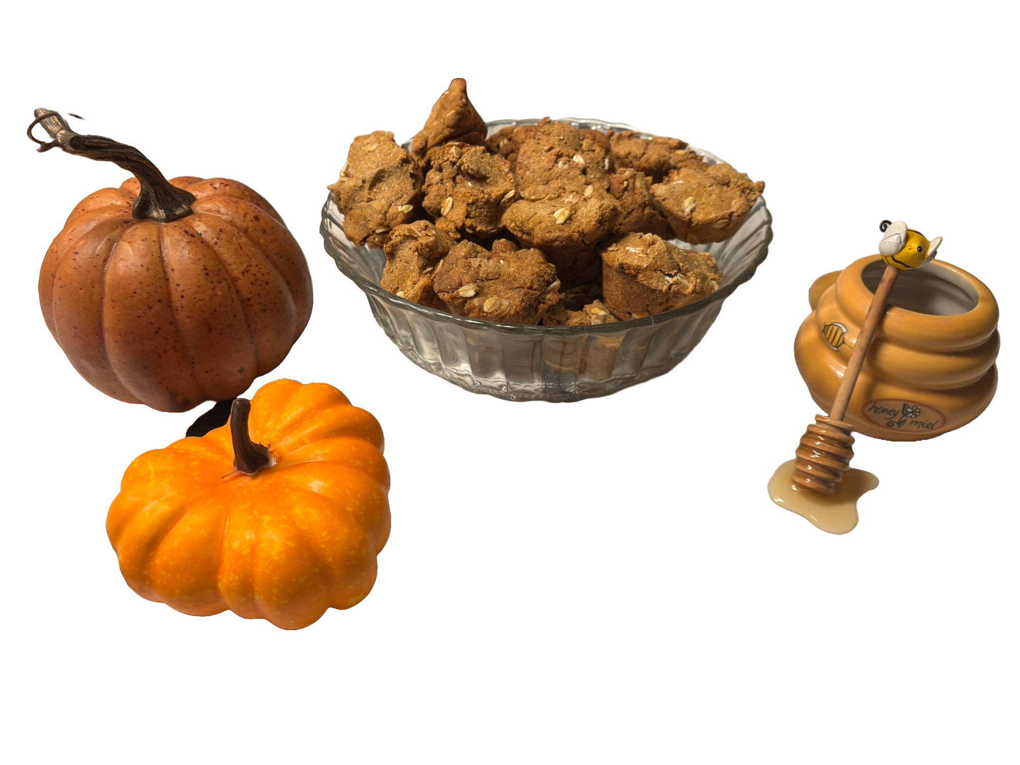 PAWsitively Organic Welcome Home Puppy Treat Bundle
