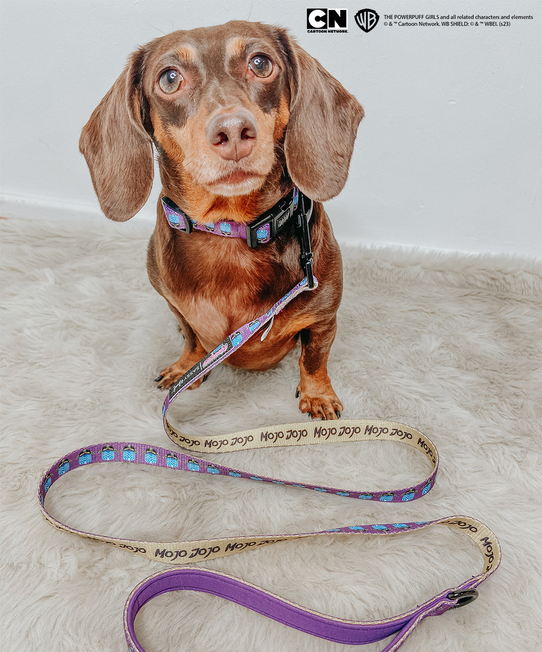Dog Collar - Mojo Jojo™