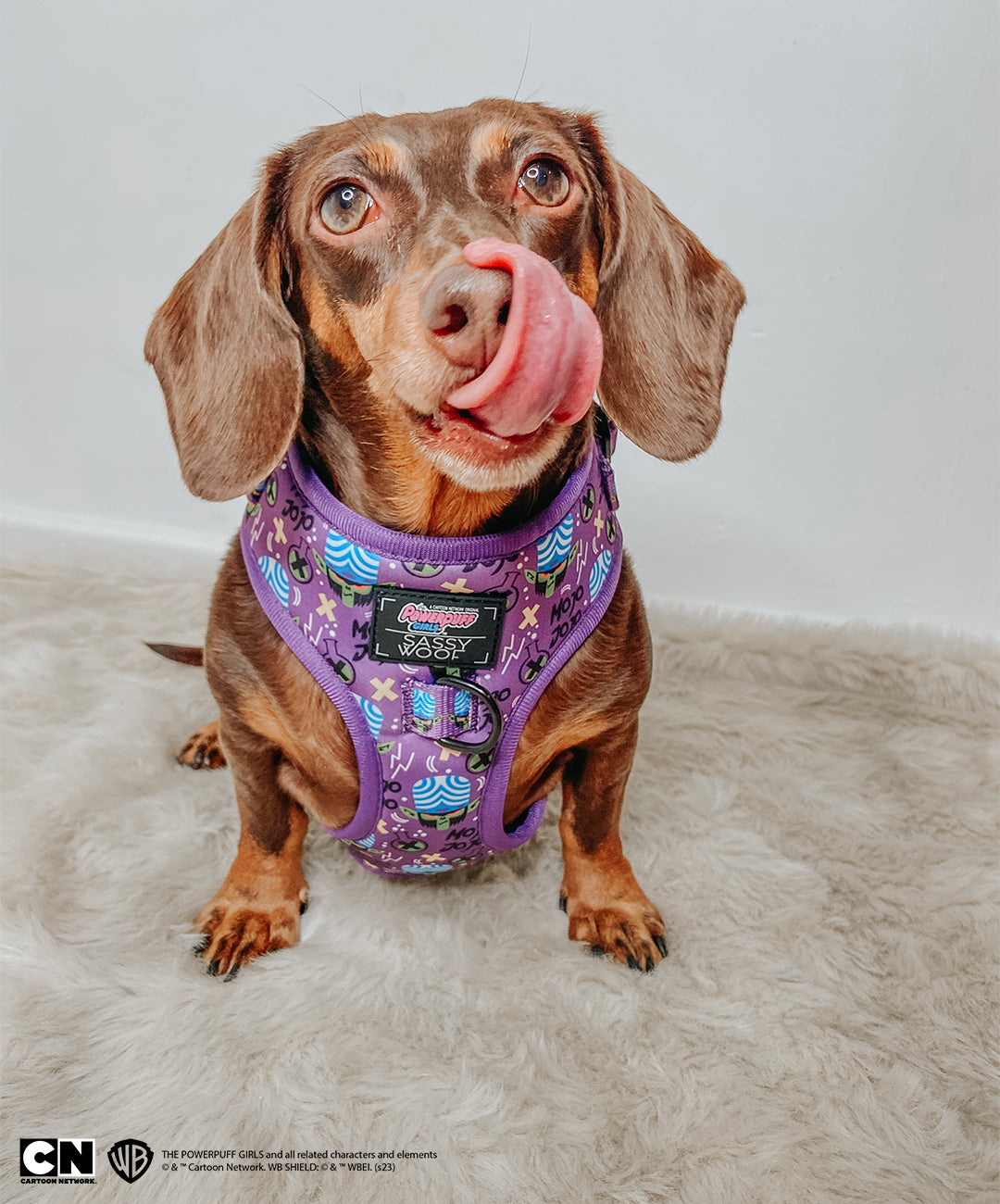 Dog Adjustable Harness - Mojo Jojo™