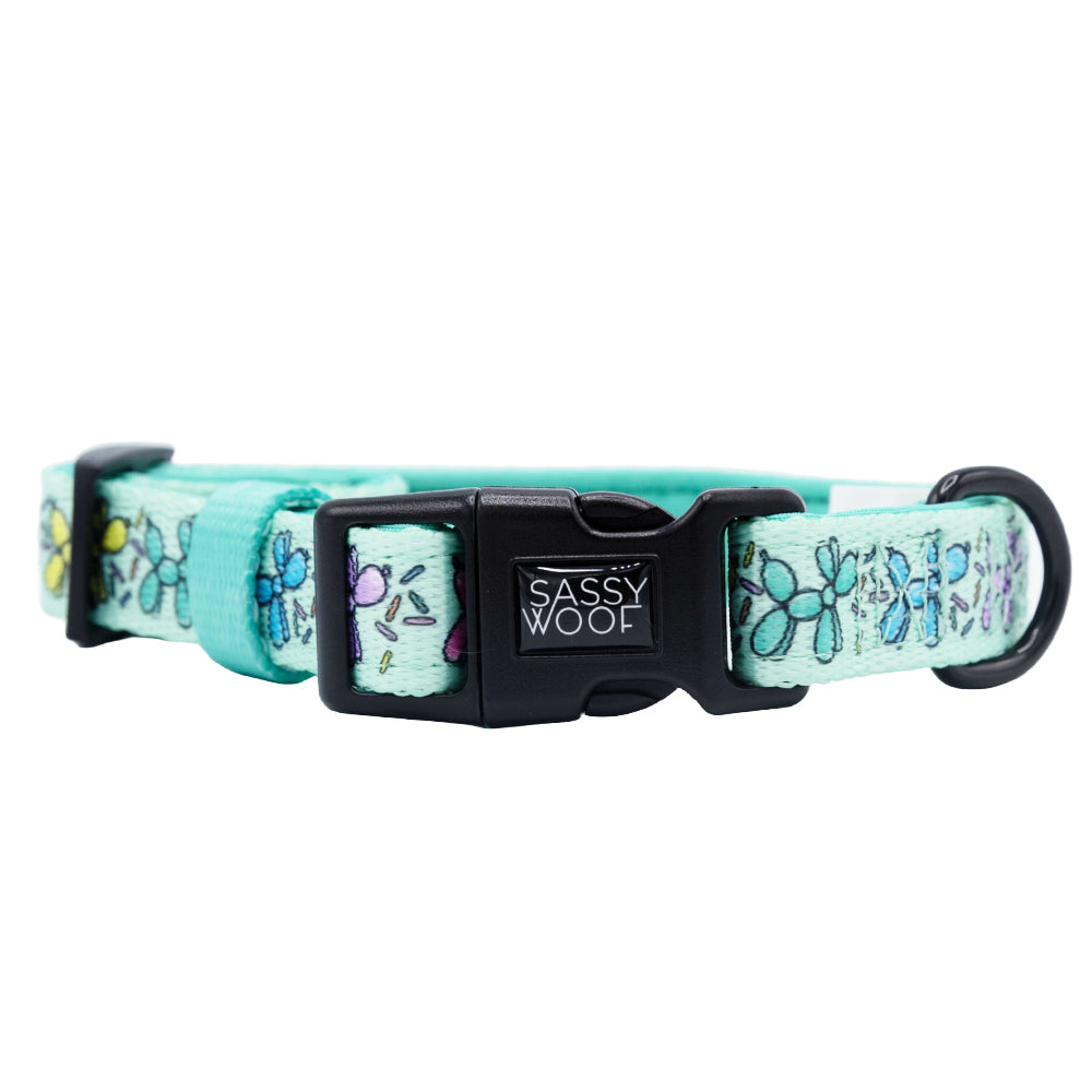 Dog Collar - Pup Pup Hooray