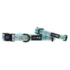 Dog Collar - Pup Pup Hooray