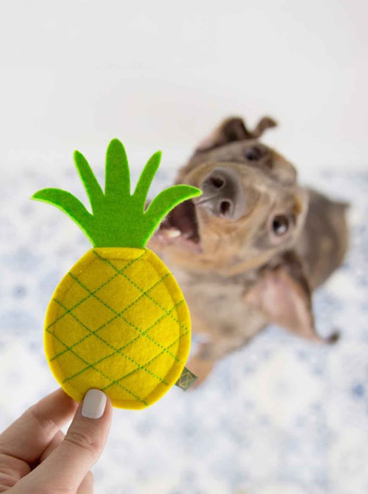Pineapple Dog Squeaker Toy