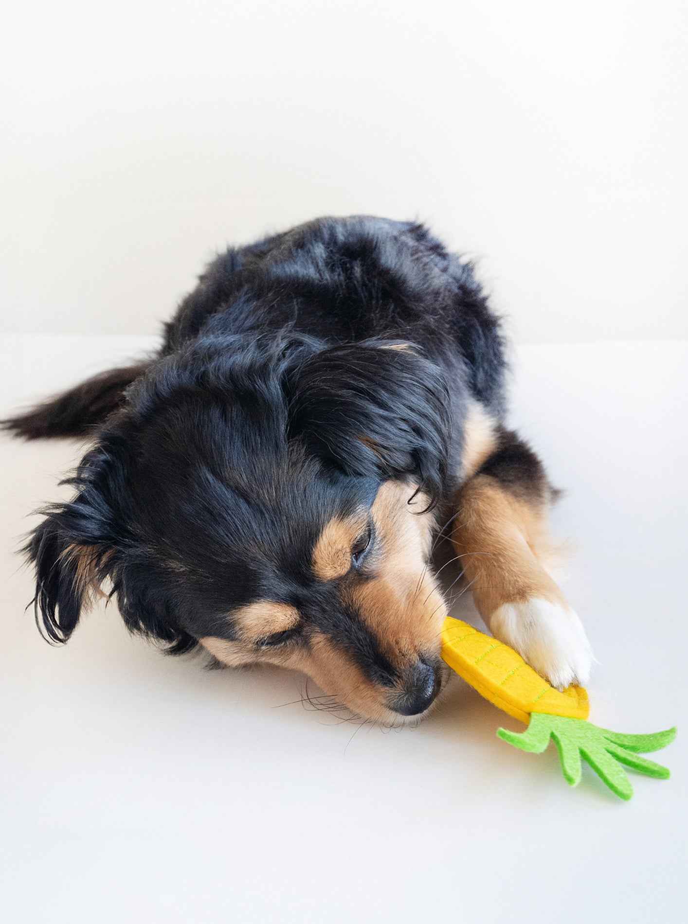Pineapple Dog Squeaker Toy