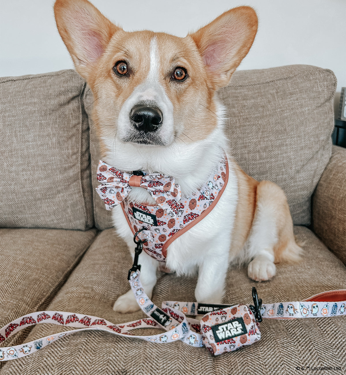 Dog Leash - STAR WARS™ The Rebel Alliance
