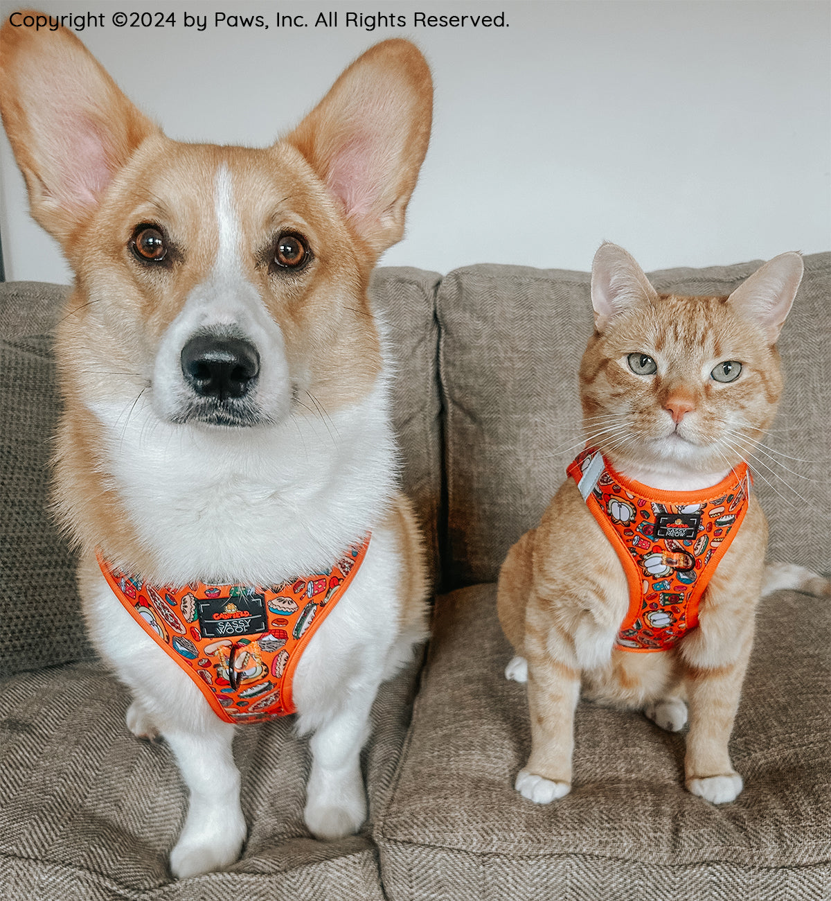 Cat Step-In Harness - Garfield™️