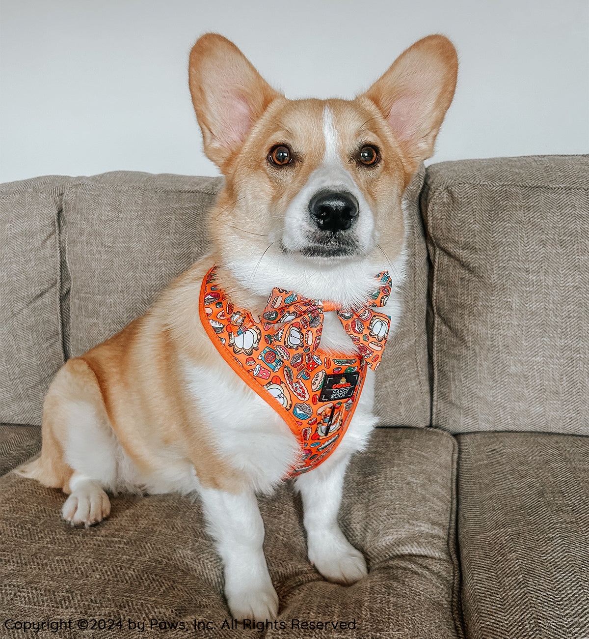 Dog Adjustable Harness - Garfield™