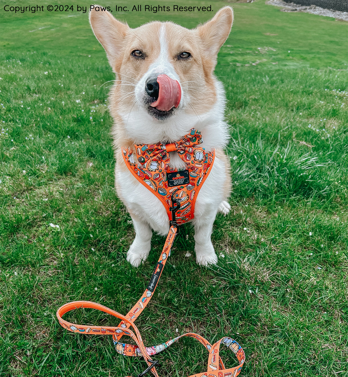 Dog Adjustable Harness - Garfield™