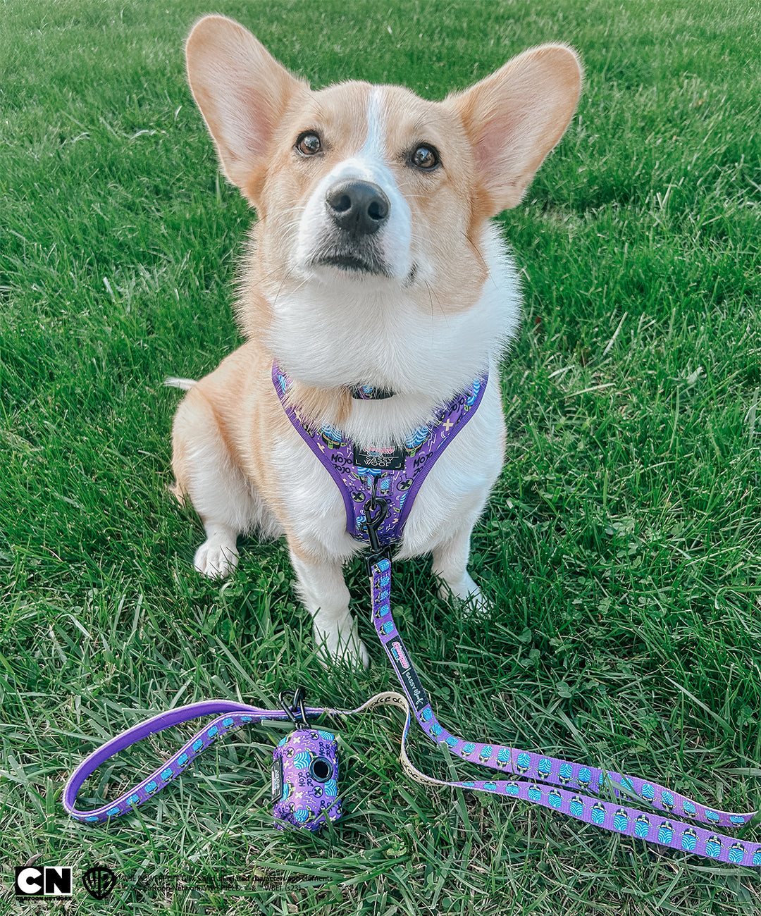 Dog Adjustable Harness - Mojo Jojo™