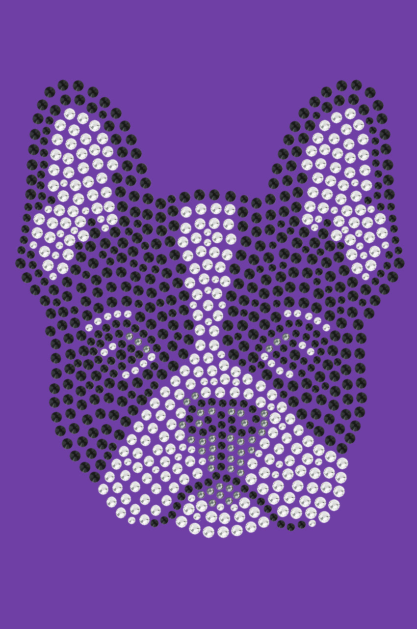 Boston Terrier - bandana