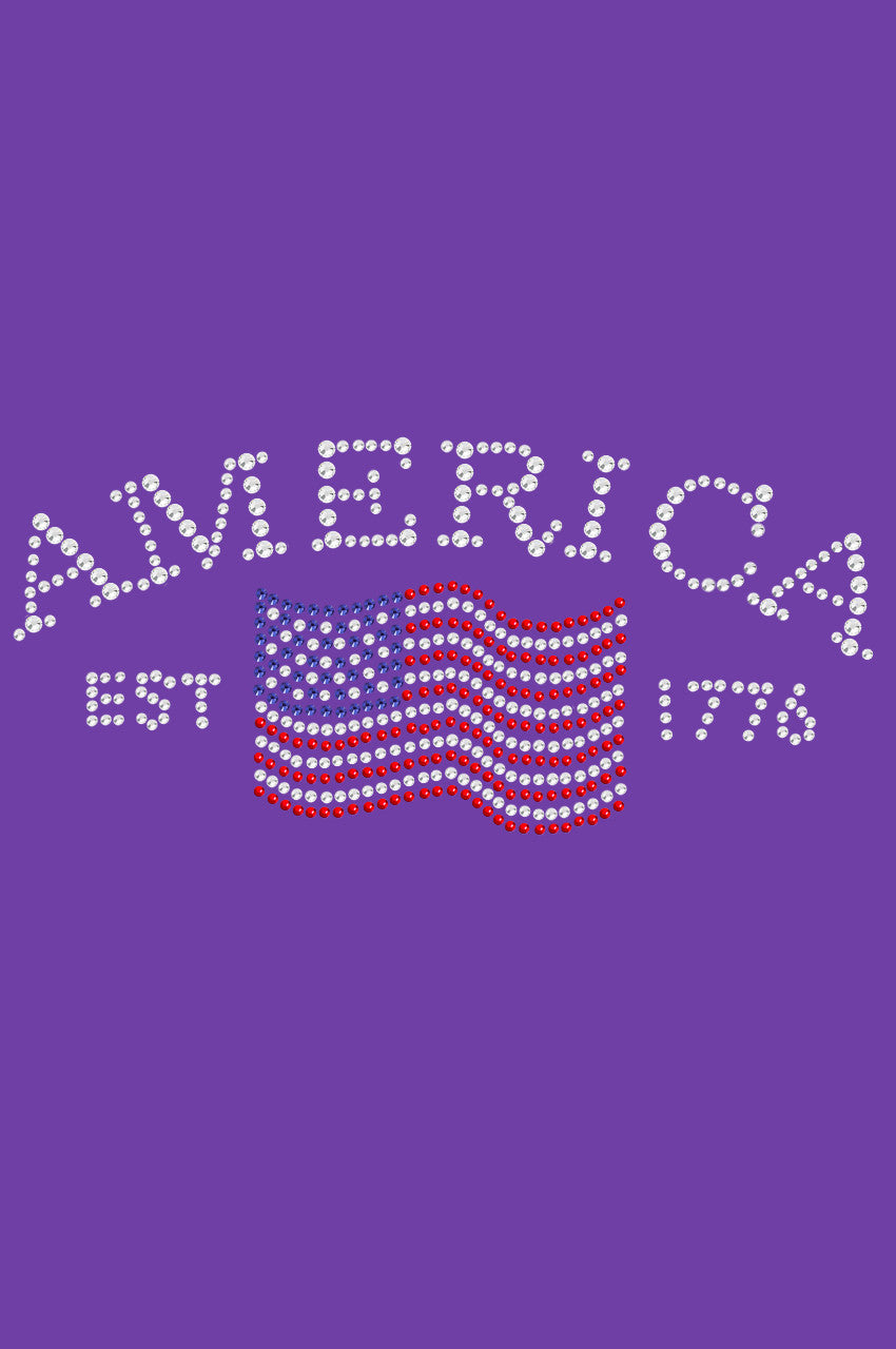 America - Womens T-shirt