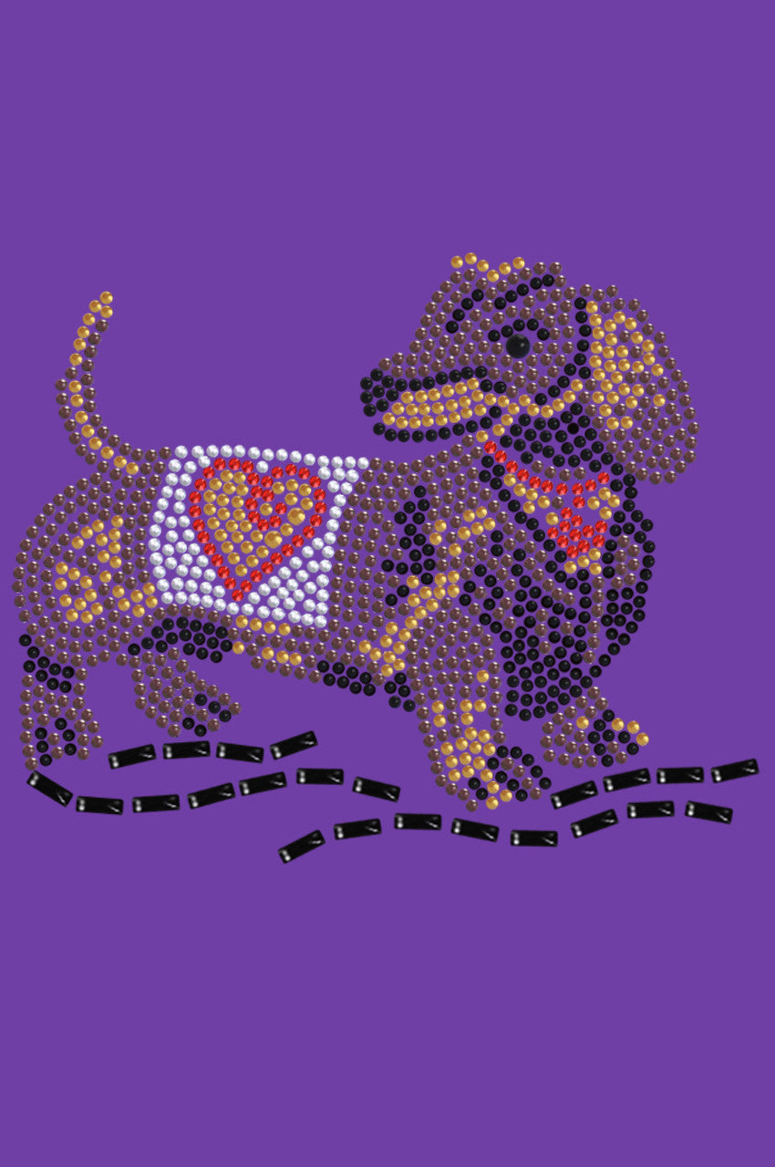 Dachshund 1 - bandana