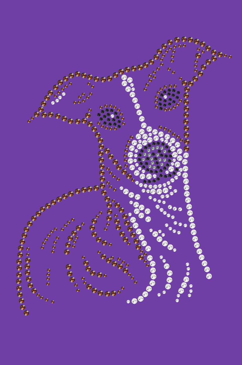 Italian Greyhound Face - bandana