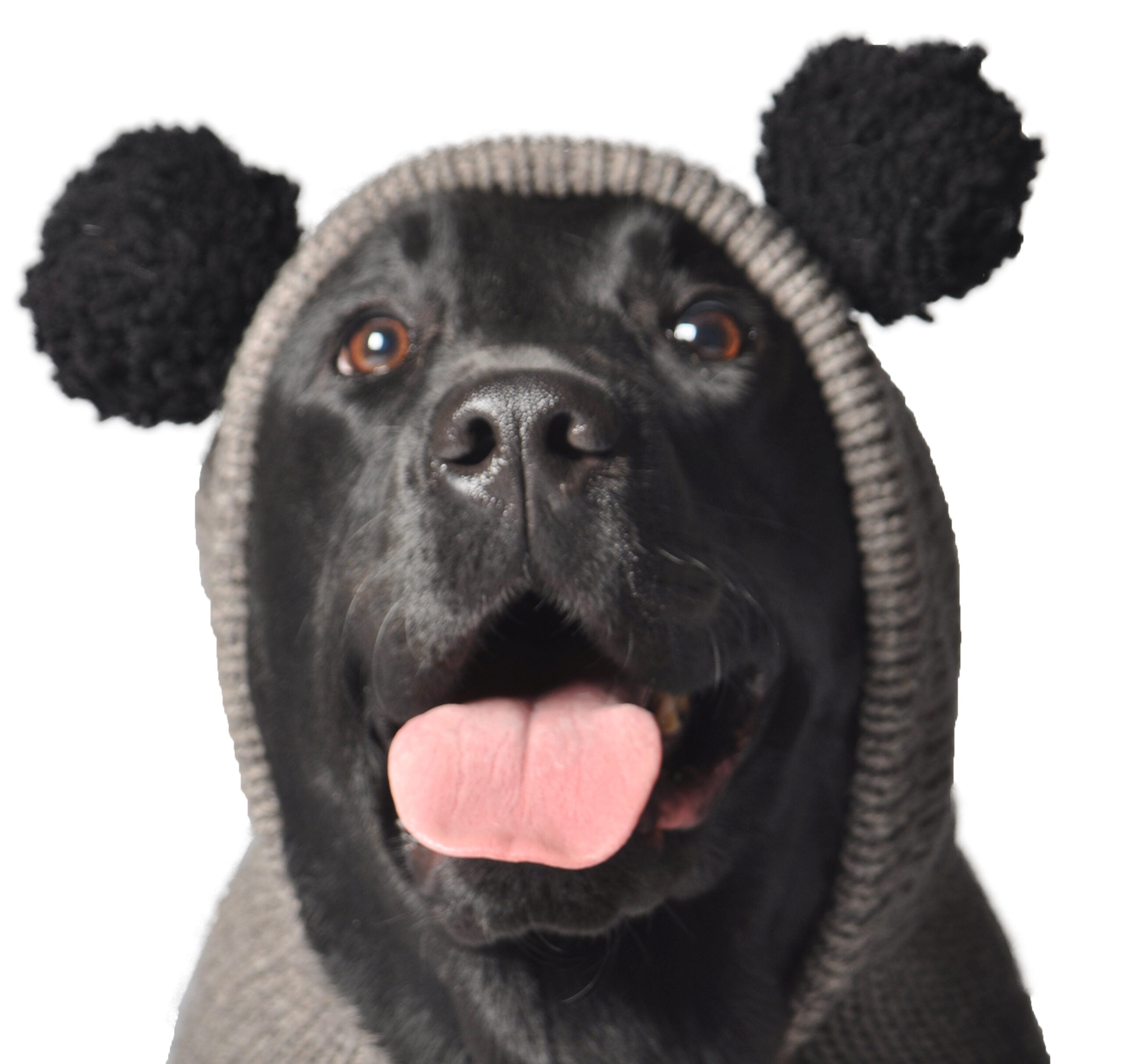 Panda Hoodie Dog Sweater