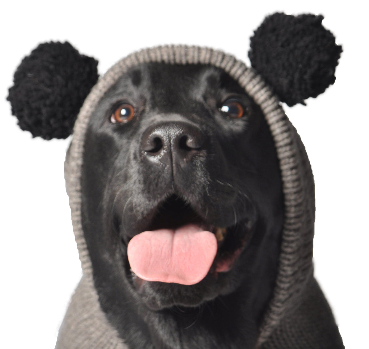 Chilly Dog Panda Hoodie Dog Sweater