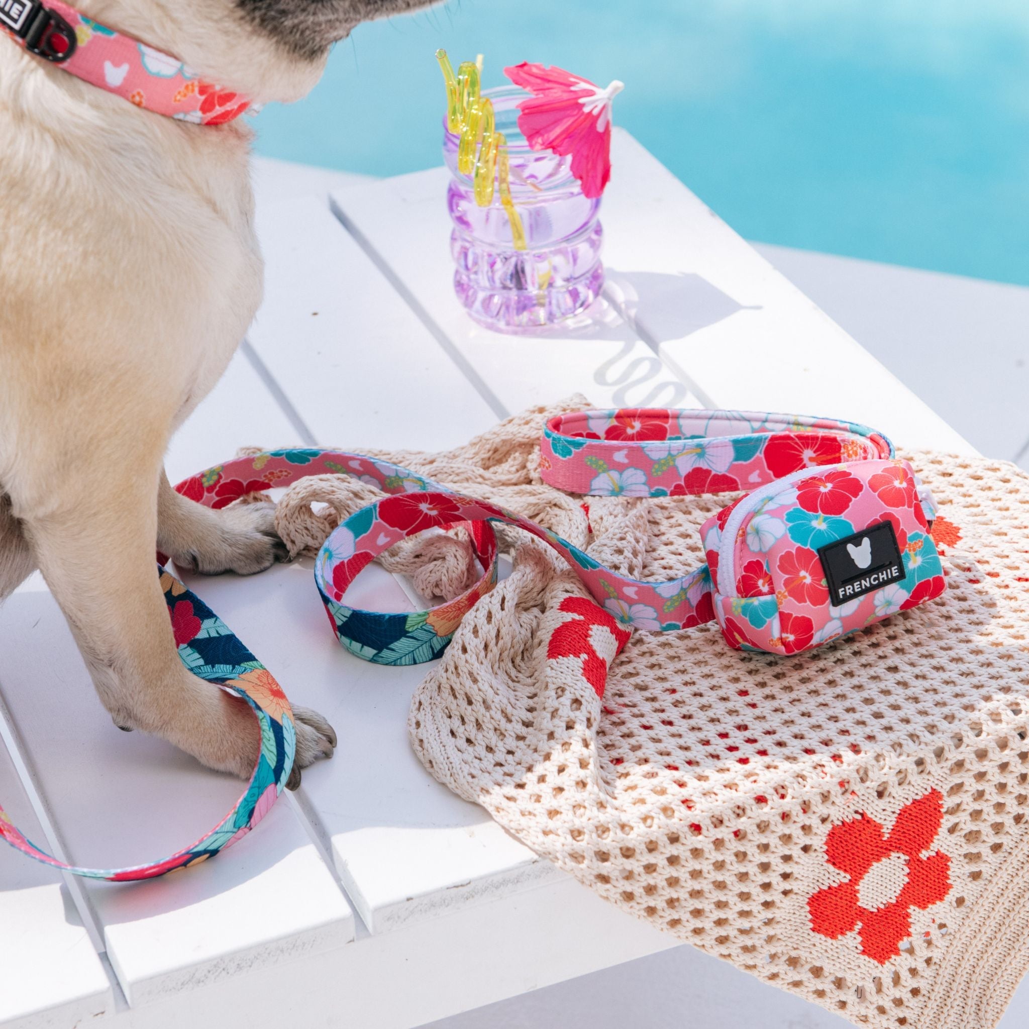 Frenchie Poo Bag Holder - Paradise