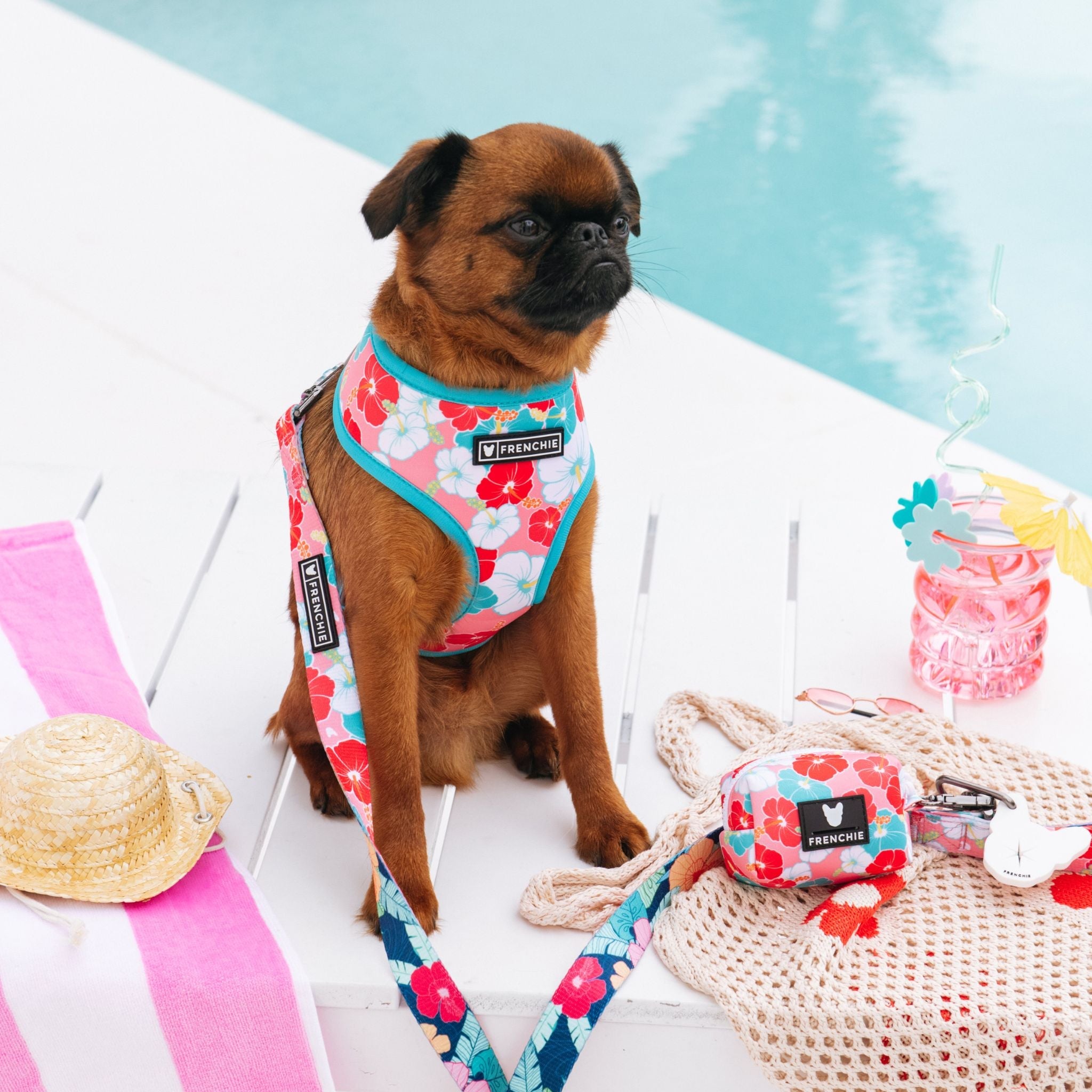 Frenchie Poo Bag Holder - Paradise