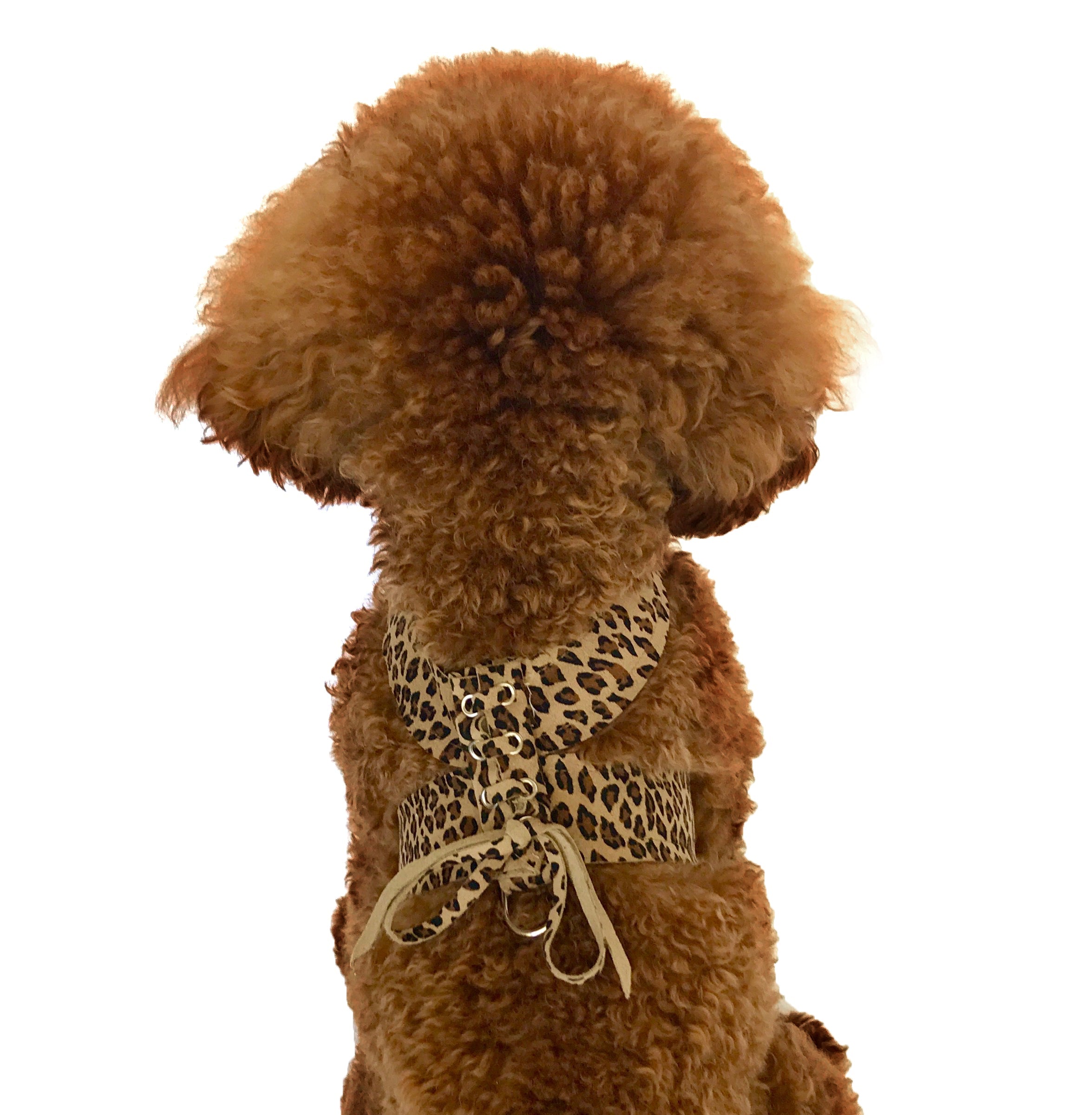 Parisian Corset Harness, Cheetah