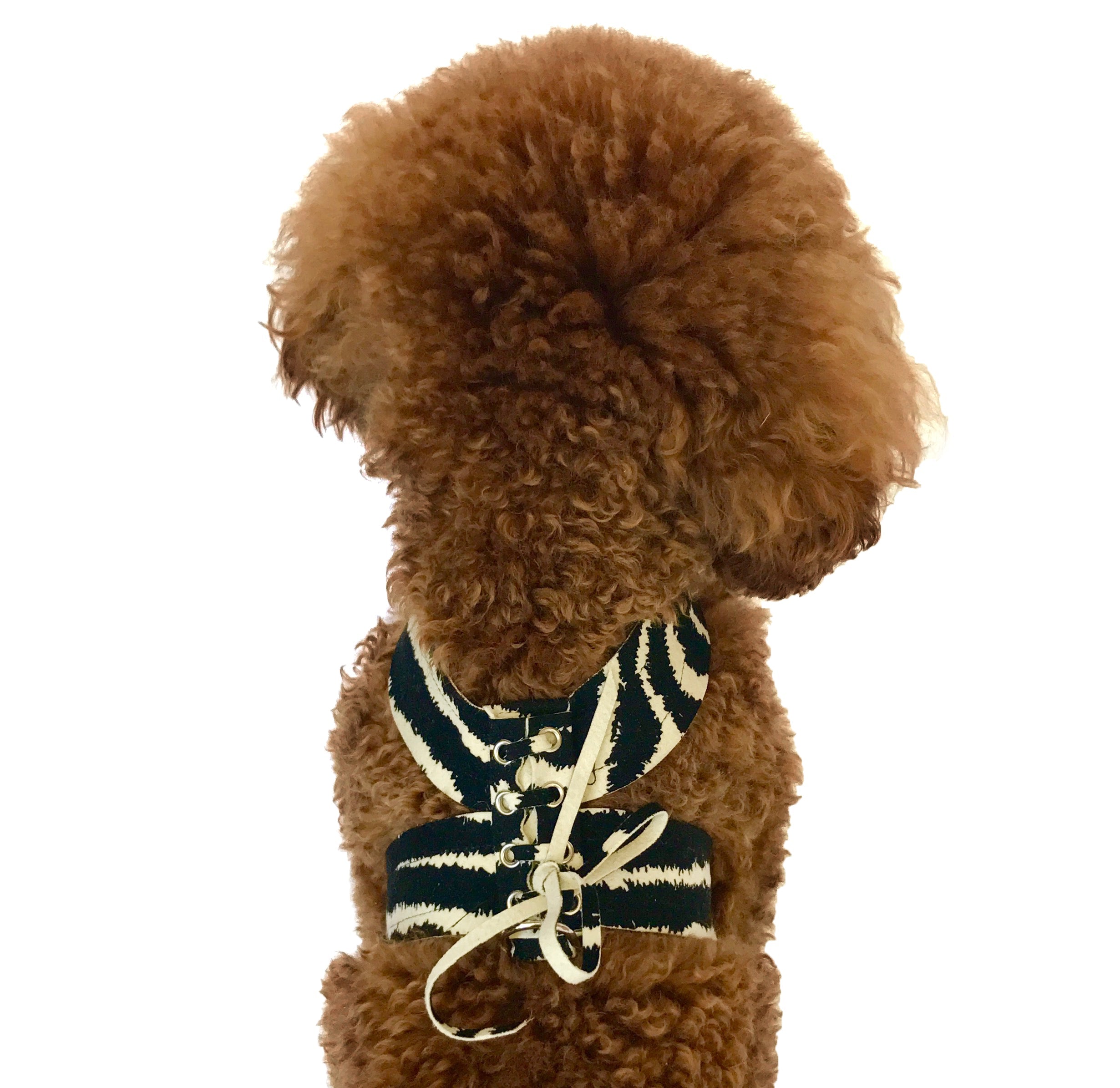 Parisian Corset Harness, Zebra