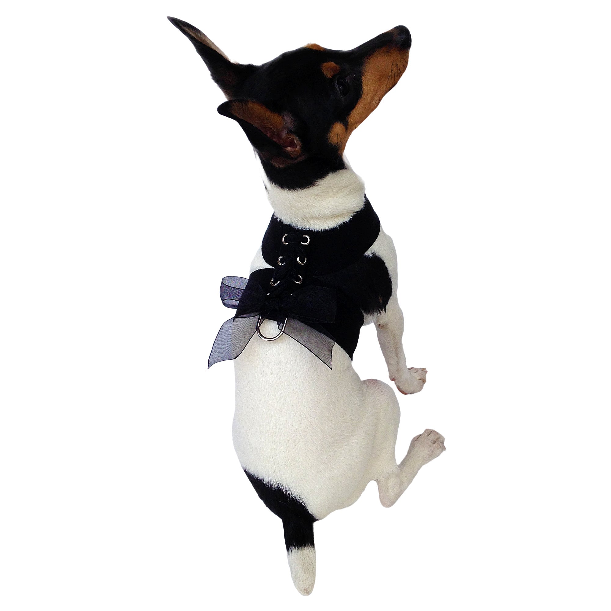 Parisian Corset Harness, Black