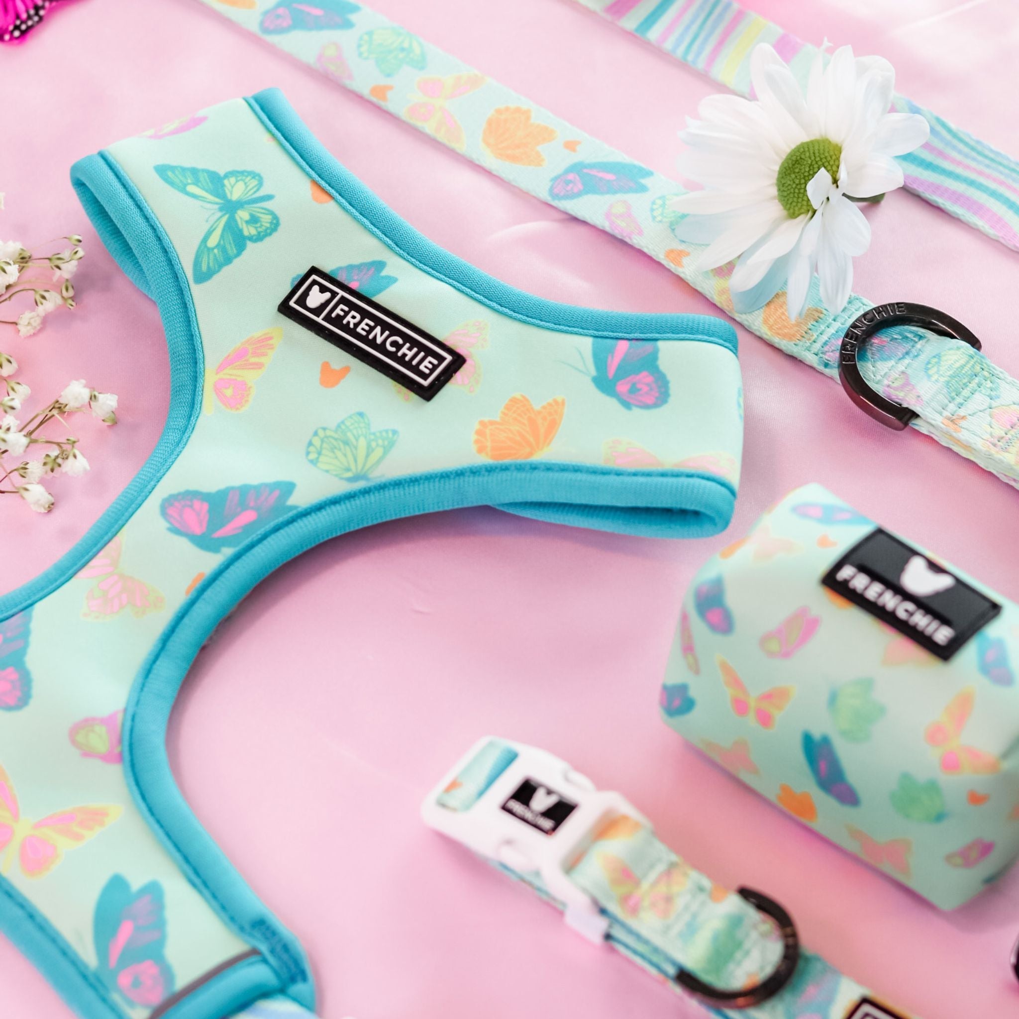 Frenchie Duo Reversible Harness - Pastel Butterfly