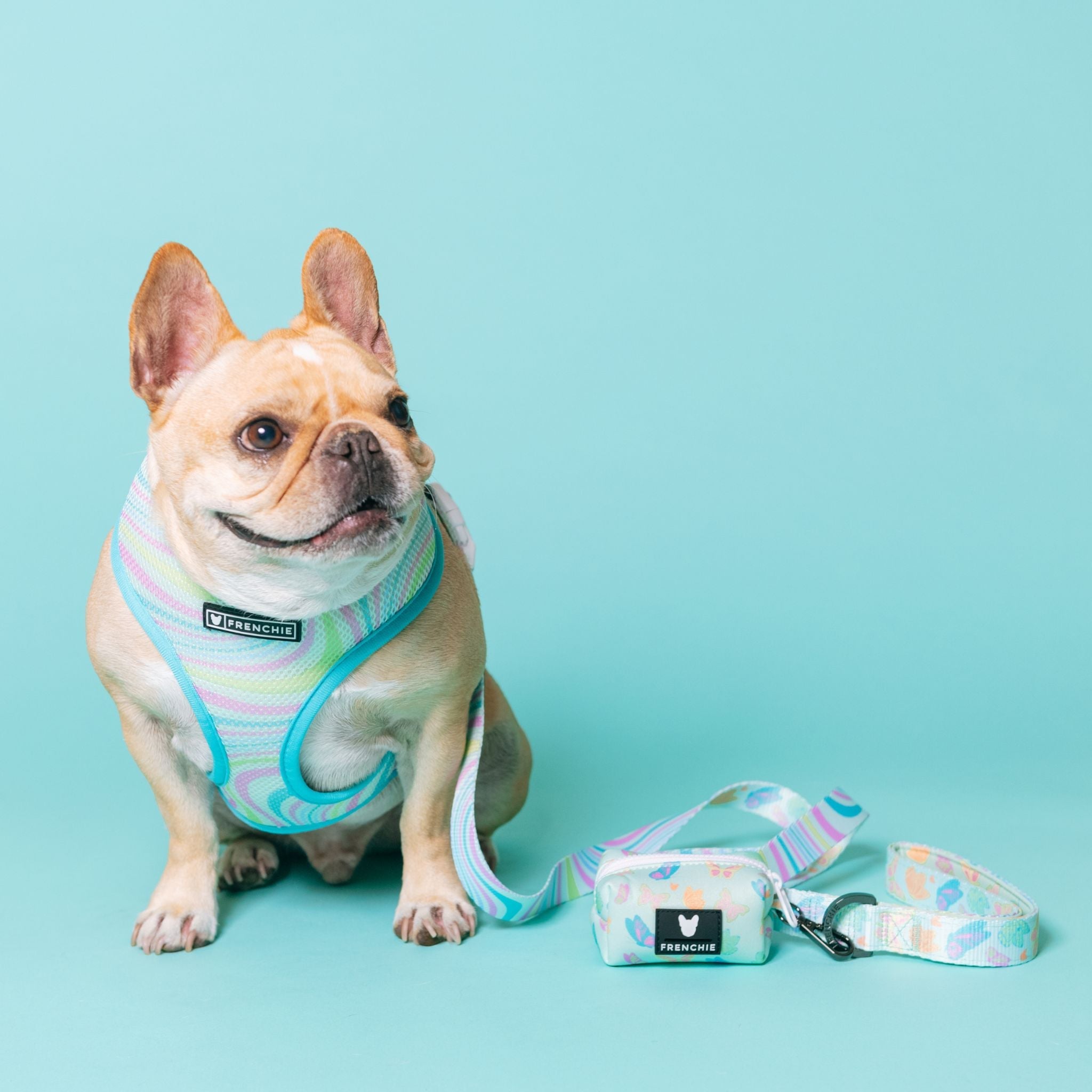 Frenchie Duo Reversible Harness - Pastel Butterfly