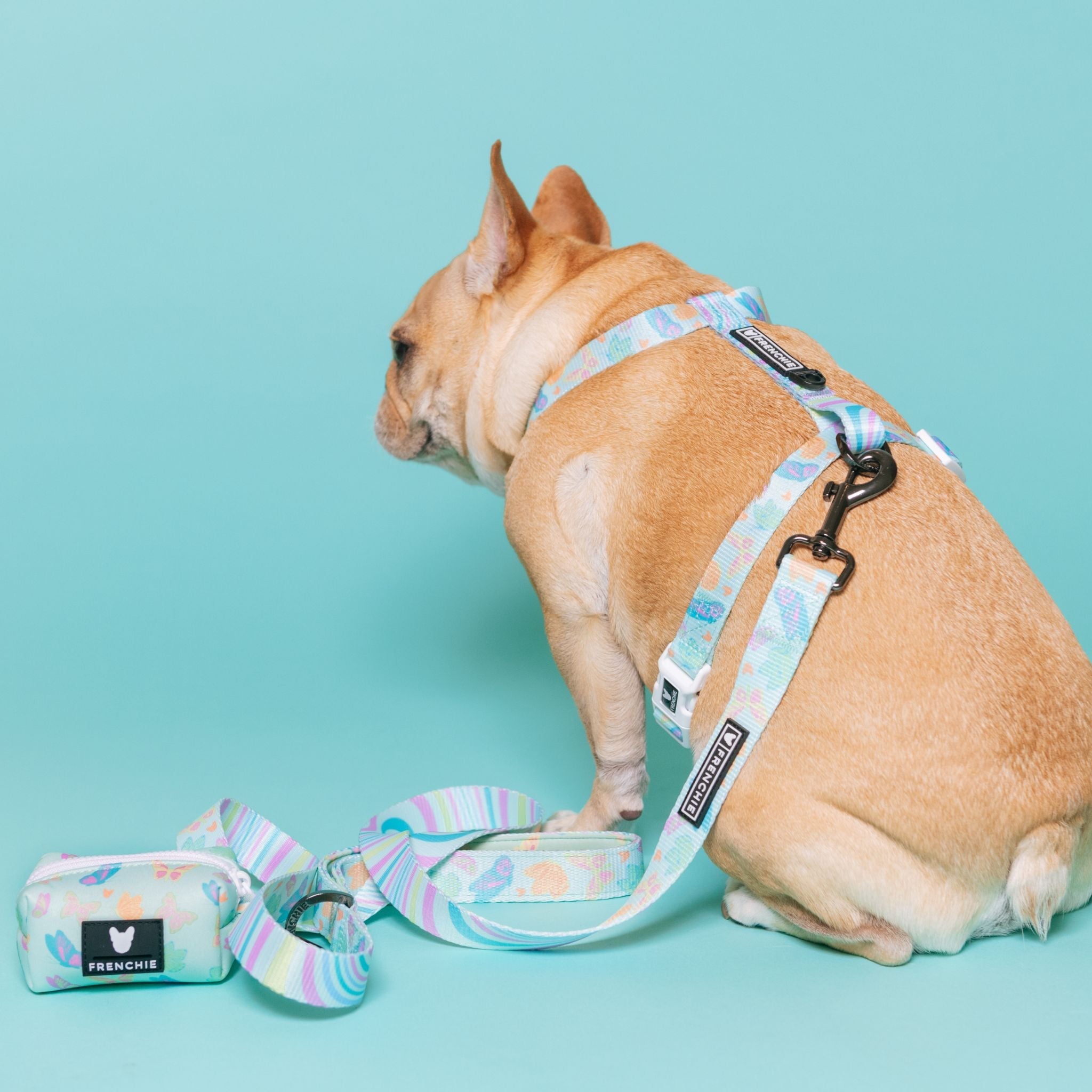 Frenchie Comfort Leash - Pastel Butterfly