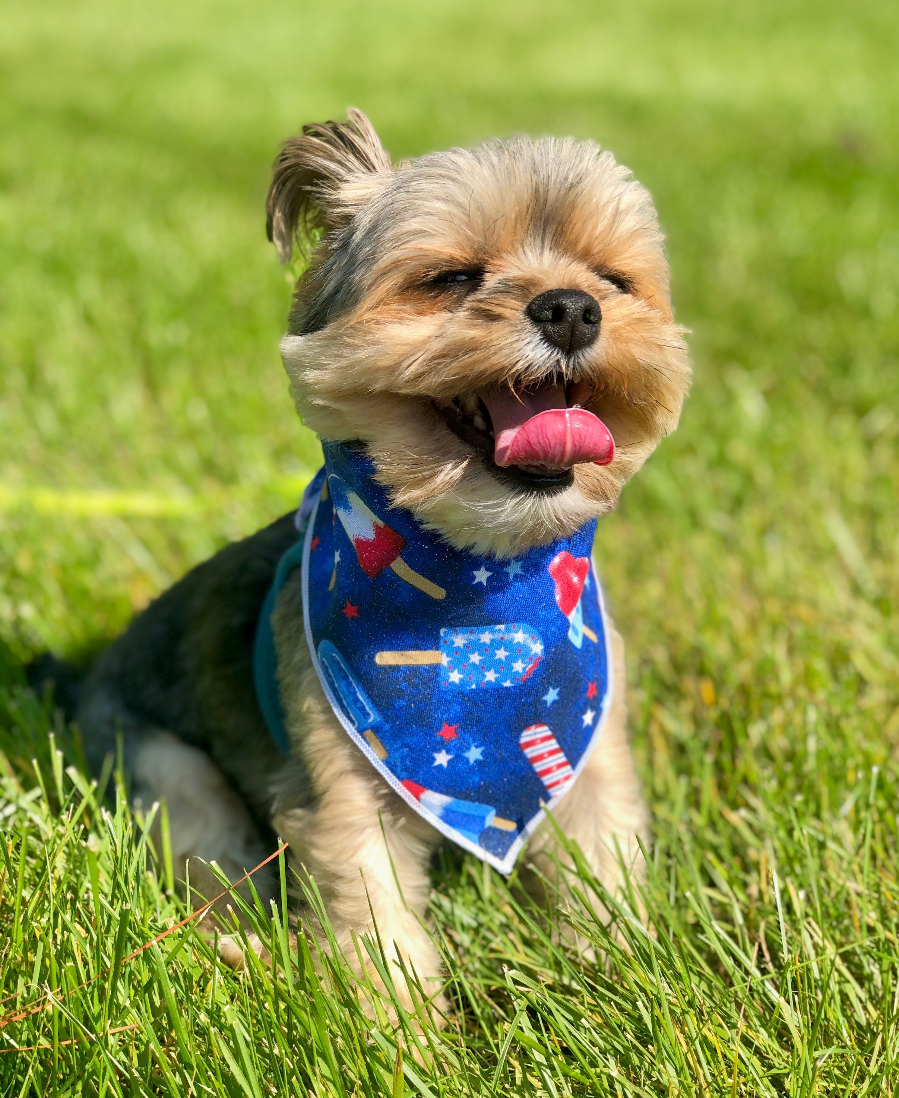 Patriotic Popsicles Bandana