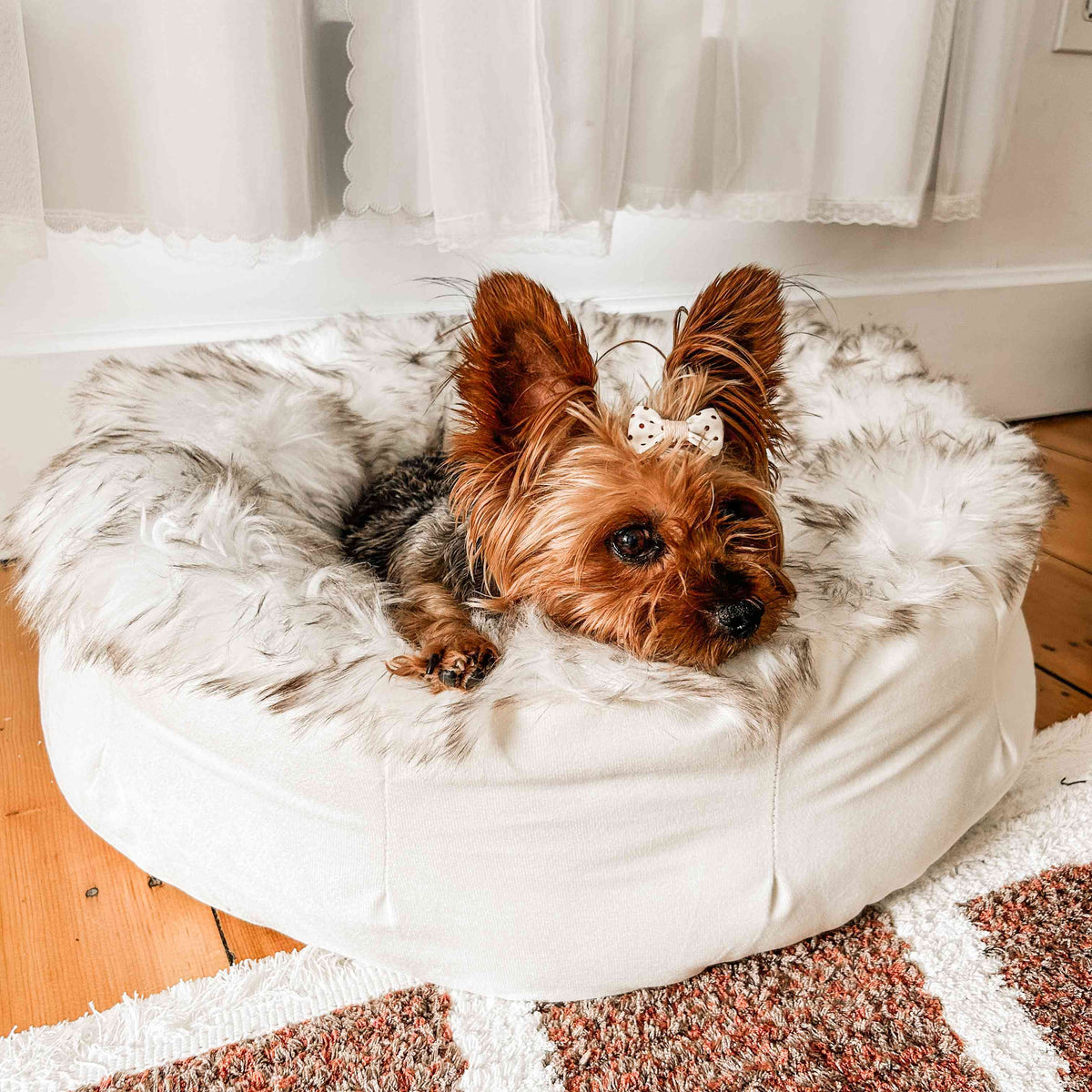 PupPoufFaux Fur Donut Dog Bed White with Brown Accents 