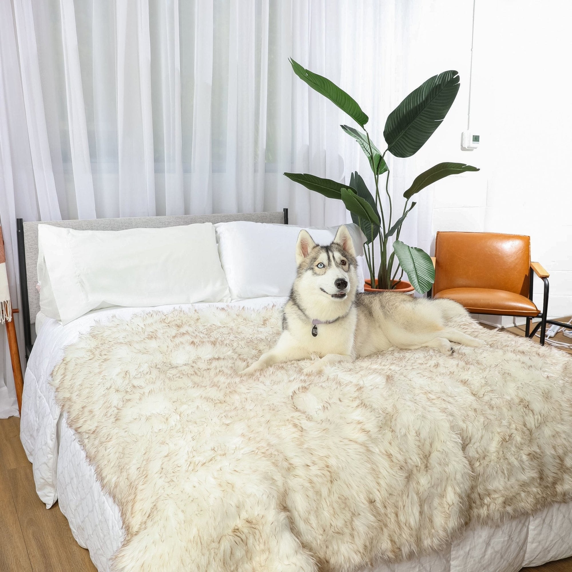 PupProtector Waterproof Throw Blanket White with Brown Accents 