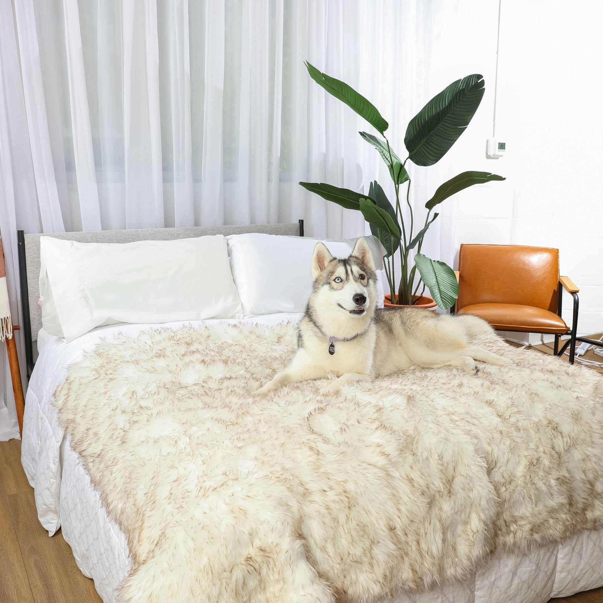 PupProtector Waterproof Throw Blanket White with Brown Accents 