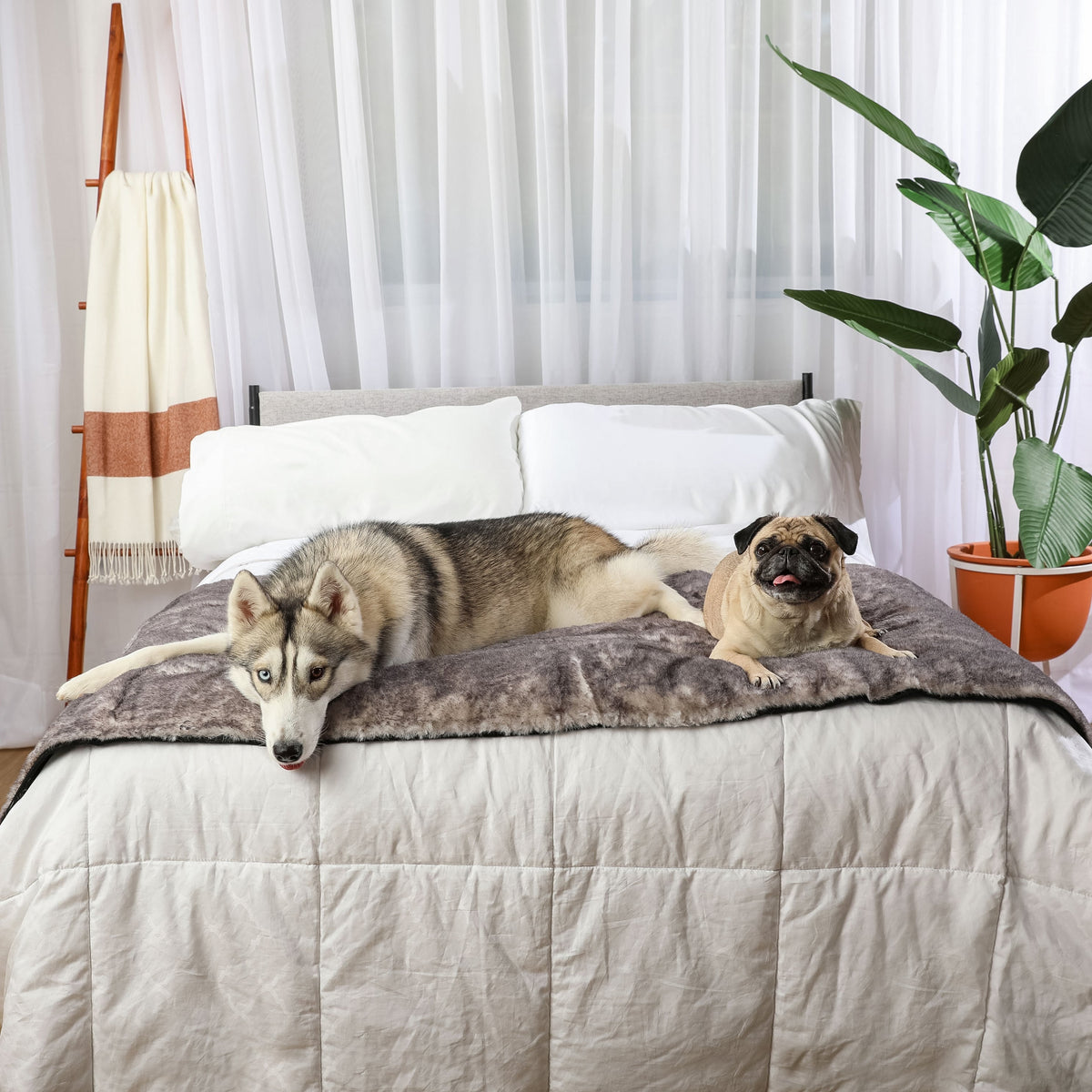 PupProtector Luxe Waterproof Bed Runner Ultra Soft Chinchilla