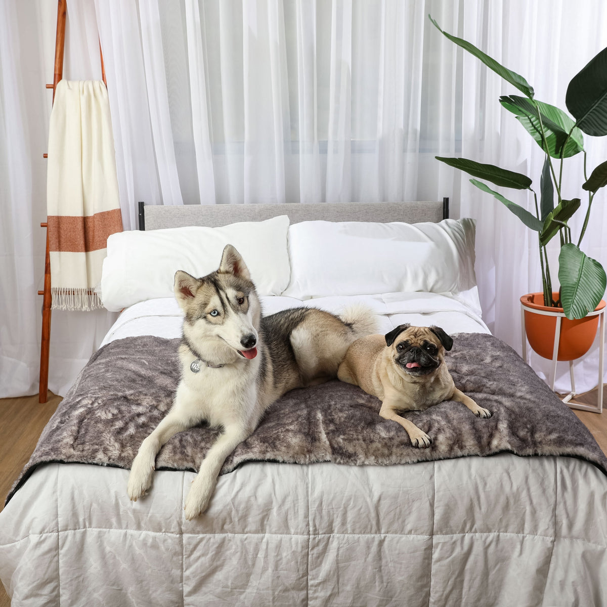 PupProtector Luxe Waterproof Bed Runner Ultra Soft Chinchilla