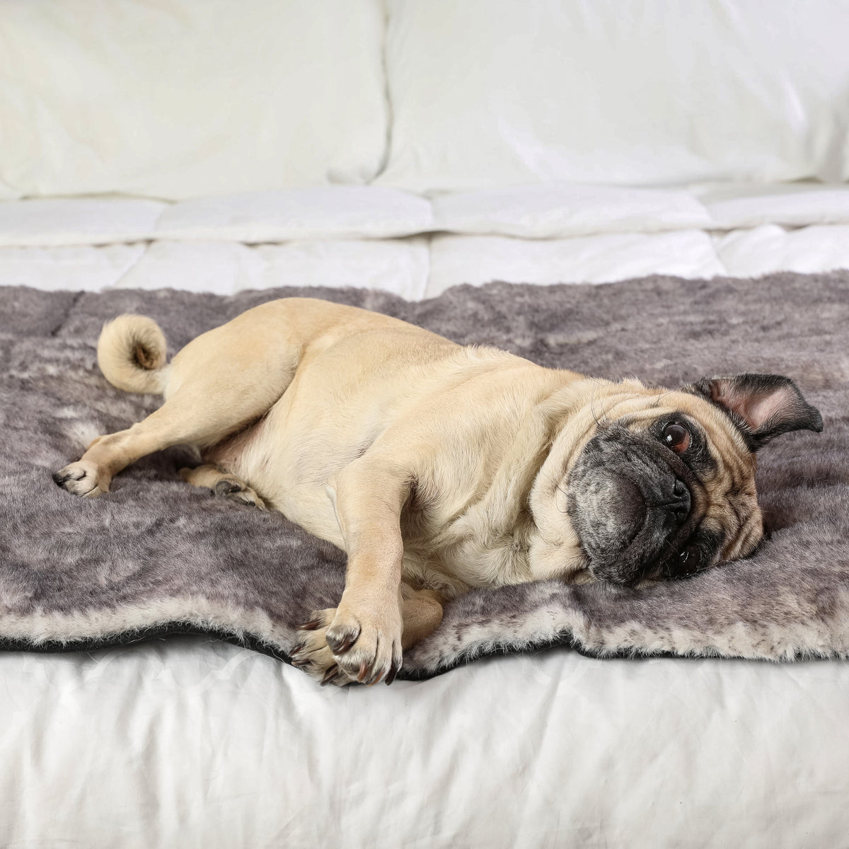 PupProtector Luxe Waterproof Bed Runner Ultra Soft Chinchilla