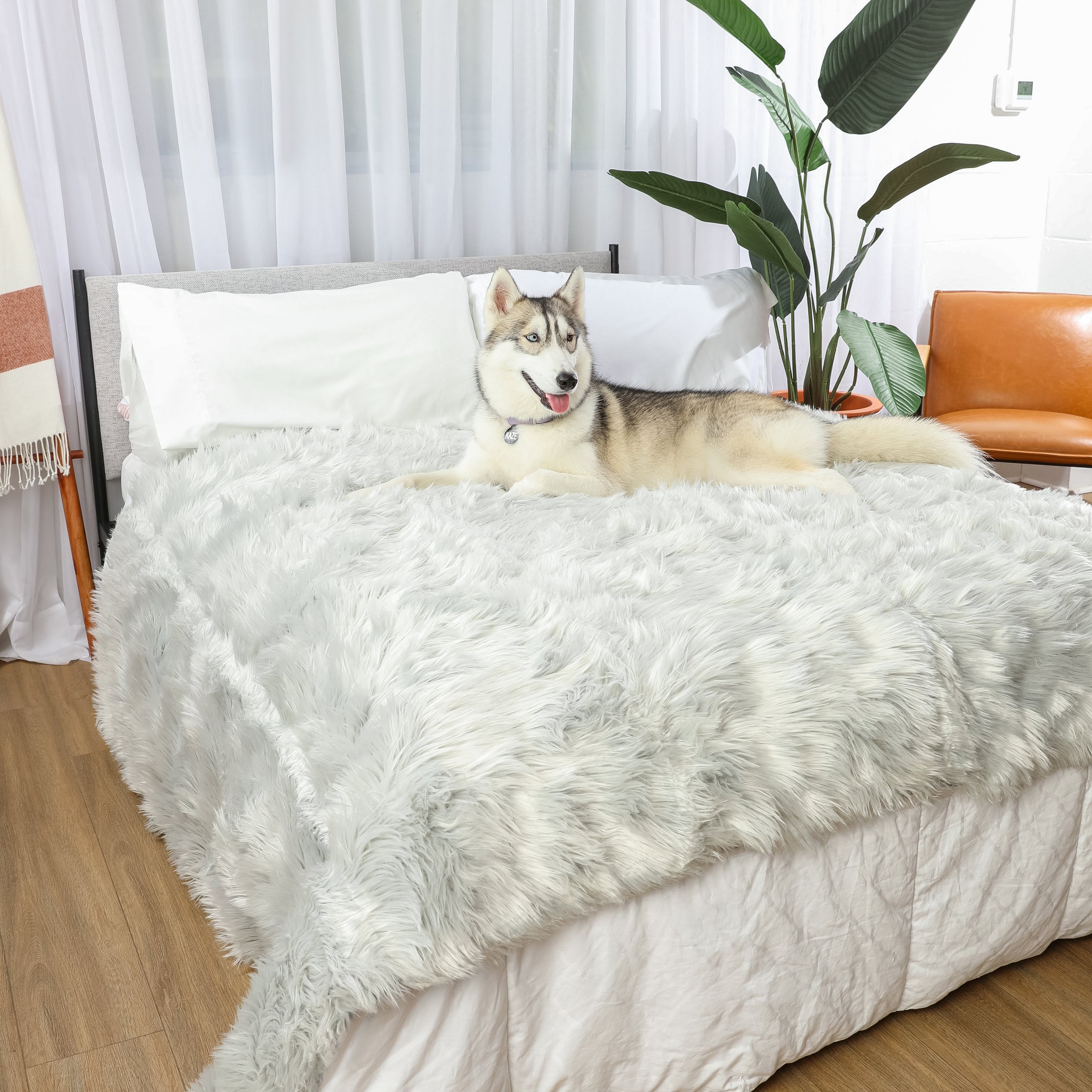PupProtector™ Waterproof Throw Blanket - Grey