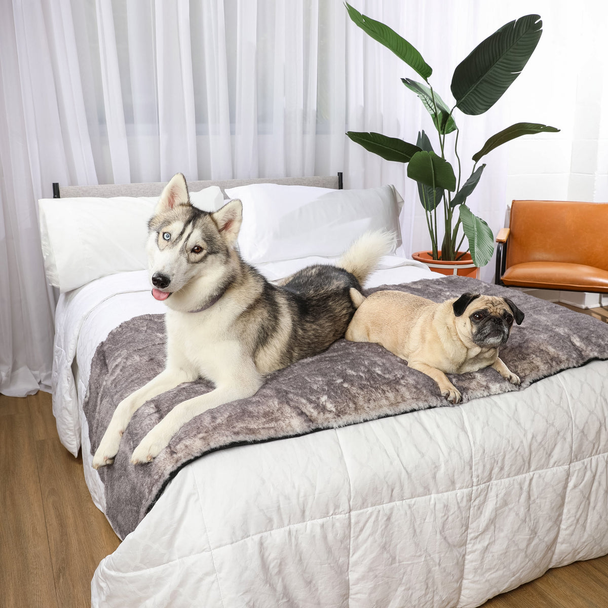PupProtector Luxe Waterproof Bed Runner Ultra Soft Chinchilla 
