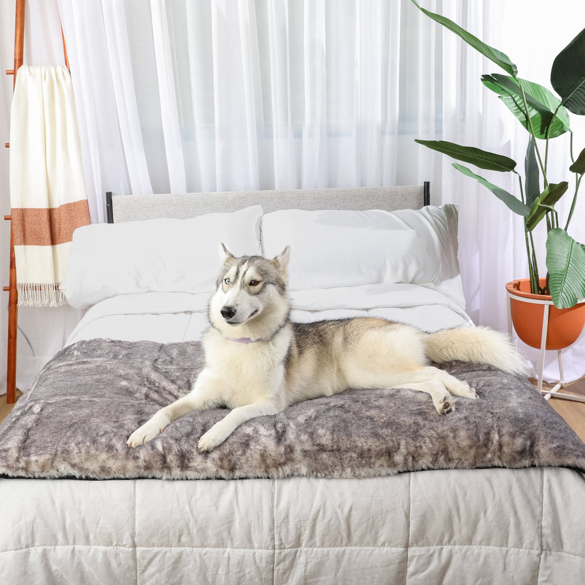 PupProtector Luxe Waterproof Bed Runner Ultra Soft Chinchilla